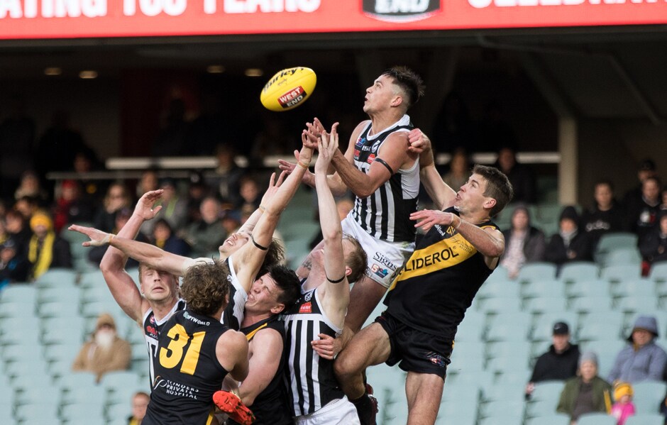 SANFL-SF-WWL-main.png Port Adelaide's Aidyn Johnson attempts the miraculous during his side's Second Semi Final win over Glenelg. - Port Adelaide Magpies